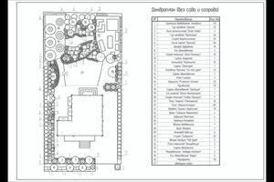 дендроплан (схема посадки растений) на участок. также делается отдельный дендроплан на сад и огород — Федорова Наталья Олеговна