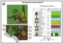 Пример дендроплана растительной композиции — Гусева Ольга Юрьевна