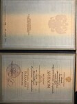 Диплом / сертификат №5 — Храновская Анастасия Валерьевна