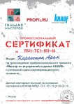 Сертификат о прохождении мастер-класса — Карапетян Арам Ктричович