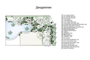 Пример схемы водоема с дендропланом — Кисилёва Юлия Владимировна