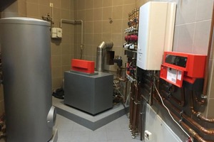 Обслуживание газового котла Viessmann Vitogas 100 — Королёв Сергей Валерьевич