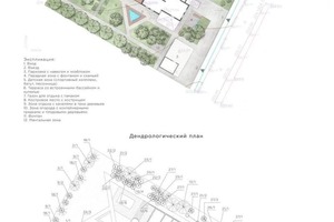 Генеральный план и дендроплан для проекта частного участка — Курдюмова Мария Алексеевна