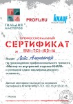 Сертификат о прохождении мастер-класса — Лейс Александр Игоревич