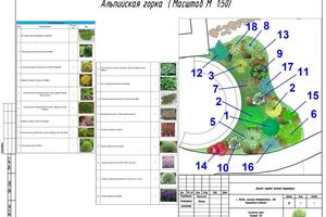 Проектирования зоны альпинария — Никольская Евгения Вячеславовна