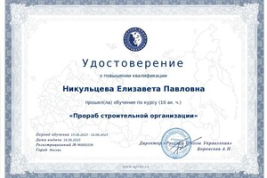 Диплом / сертификат №1 — Никульцева Елизавета Павловна