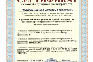 Диплом / сертификат №13 — Подлобошников Алексей Георгиевич