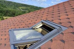 RoofLite 78*98 — Прокофьев Денис Владимирович