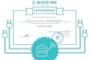 Диплом / сертификат №6 — Резниченко Александр Юрьевич