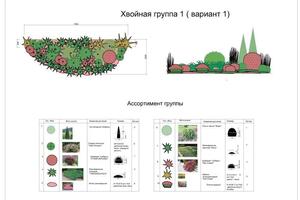 миксбордер из хвойных растений — Шаркова Юлия Вадимовна