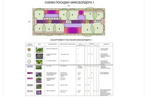 миксбордер с посадочной ведомостью растений — Шаркова Юлия Вадимовна