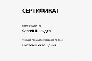 Диплом / сертификат №1 — Шнейдер Сергей Юрьевич