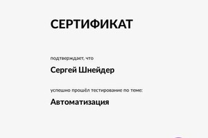 Диплом / сертификат №2 — Шнейдер Сергей Юрьевич