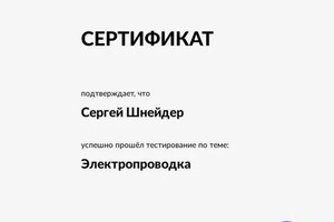 Диплом / сертификат №3 — Шнейдер Сергей Юрьевич