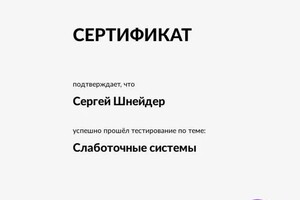 Диплом / сертификат №4 — Шнейдер Сергей Юрьевич