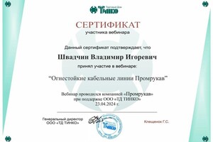 Диплом / сертификат №10 — Швадчин Владимир Игоревич