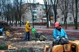 Удаление пней и деревьев — Смирнов Евгений Игоревич