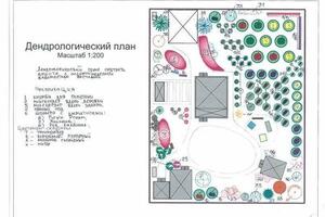 Проект по ландшафтному дизайну, 20 соток, с указанием всех размеров и рекомендациями по видам растений (для МО) — Соколовская Екатерина Игоревна