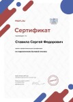 Диплом / сертификат №5 — Ставила Сергей Федорович