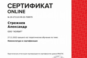 Диплом / сертификат №2 — Стрежнев Александр Андреевич