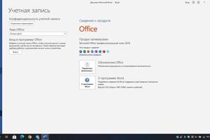 Установка и активация Microsoft Office 2019 через Teamviewer — Сысуев Владислав Вячеславович