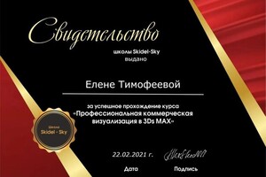 Диплом / сертификат №4 — Тимофеева Елена Валентиновна