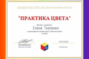 Диплом / сертификат №3 — Ткаченко Елена Анатольевна