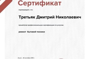 Диплом / сертификат №4 — Николаевич Третяк Дмитрий