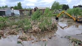 Выкорчёвывание высшей растительности. — Ульянцев Пётр Петрович