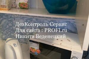 Правильный результат обработки квартиры через 3 часа.; Трупики и полуживые особи в местах скопления. — Веденецкий Никита Алексеевич