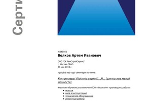 Диплом / сертификат №6 — Волков Артем Иванович