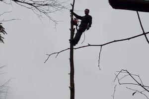 Удаление ? — Воронов Николай Сергеевич