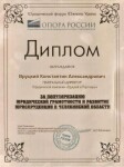 Диплом / сертификат №5 — Вруцкий и Партнеры