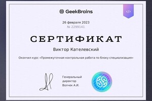 Диплом / сертификат №5 — Кателевский Виктор Николаевич