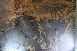 Трофимов Максим Евгеньевич — Портфолио №2