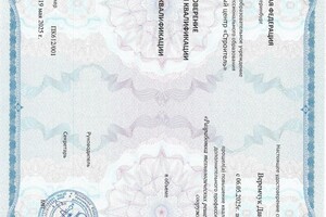 Веремчук Данил Юрьевич — Диплом / сертификат №4