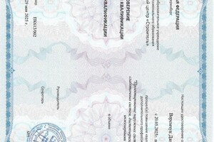 Веремчук Данил Юрьевич — Диплом / сертификат №5