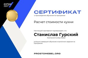 Диплом / сертификат №6 — Гурский Станислав Юрьевич