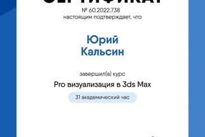 Диплом / сертификат №2 — Кальсин Юрий Владимирович