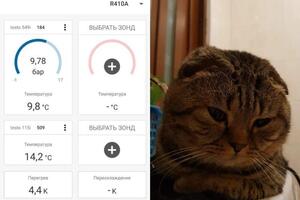 Вот так по датчикам Testo мы заправляем сплит-систему по перегреву. И мой любимый кот, зовут его Марли! — Назаров Андрей Анатольевич