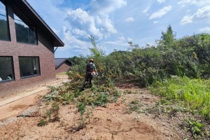 Чистим территорию от облепихи, дробим и вывозим. — Водопьянов Сергей Александрович