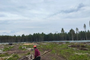 Просто спил без уборки территории. — Водопьянов Сергей Александрович