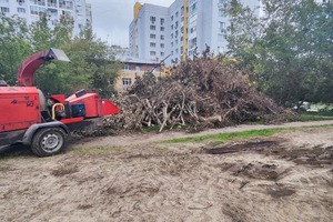 Подготовка к дроблению веток. — Водопьянов Сергей Александрович