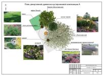 Разработка цветника и зоны отдыха — Гаврилова Ольга Александровна