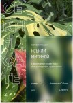 Диплом / сертификат №10 — Митина Ксения