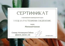 Диплом / сертификат №4 — Митина Ксения