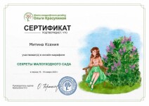 Диплом / сертификат №5 — Митина Ксения