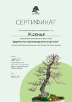 Диплом / сертификат №7 — Митина Ксения