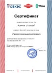 Диплом / сертификат №1 — Сизиков Антон Петрович