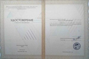 Диплом / сертификат №1 — Березина Наталья Викторовна